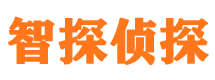 鱼峰外遇调查取证